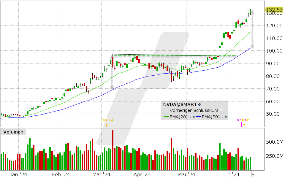 Nvidia Aktie: Chart vom 14.06.2024, Kurs: 132.53 USD, Kürzel: NVDA | Quelle: TWS